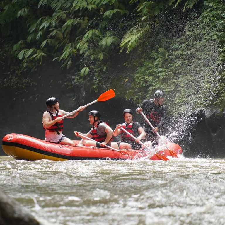 WhatsApp Image 2025-10-23 at 16.24.22 (1)